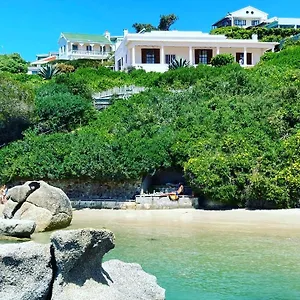 Bosky Dell On Boulders Beach Simon's Town